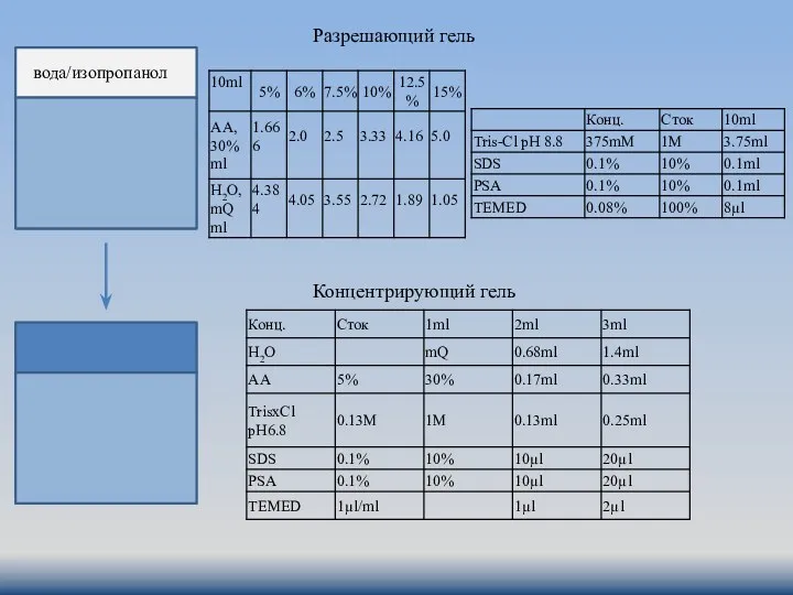 Разрешающий гель Концентрирующий гель вода/изопропанол