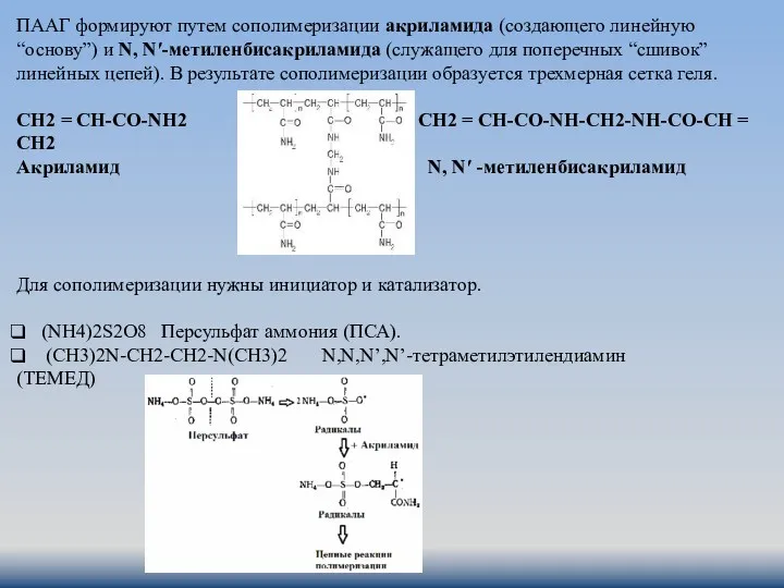ПААГ формируют путем сополимеризации акриламида (создающего линейную “основу”) и N,