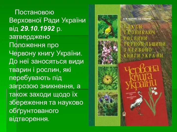 Постановою Верховної Ради України від 29.10.1992 р. затверджено Положення про