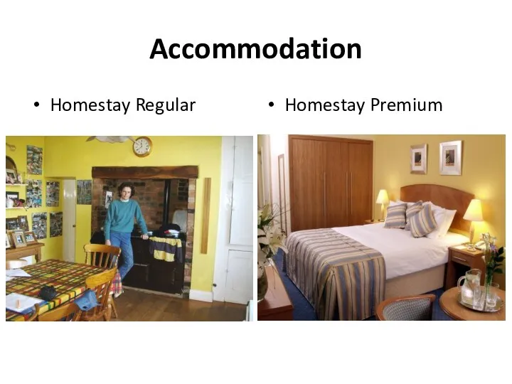 Accommodation Homestay Regular Homestay Premium