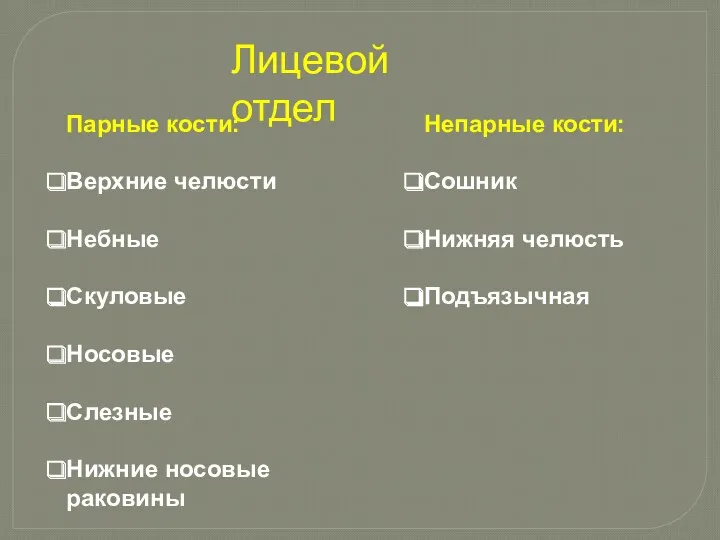 Лицевой отдел Непарные кости: Сошник Нижняя челюсть Подъязычная Парные кости: Верхние челюсти Небные