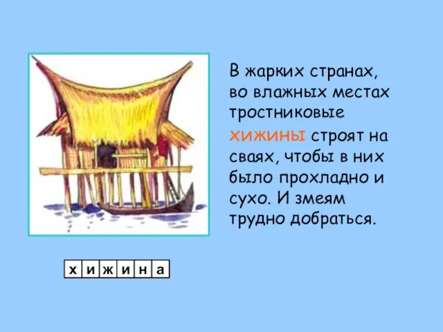 В жарких странах, во влажных местах тростниковые хижины строят на