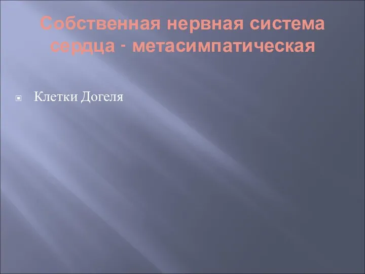 Собственная нервная система сердца - метасимпатическая Клетки Догеля