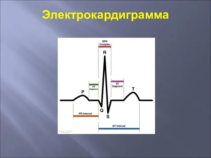 Электрокардиграмма