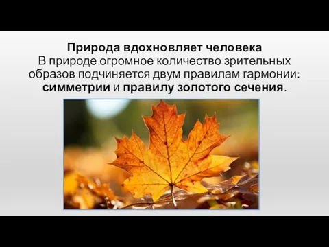 Природа вдохновляет человека В природе огромное количество зрительных образов подчиняется