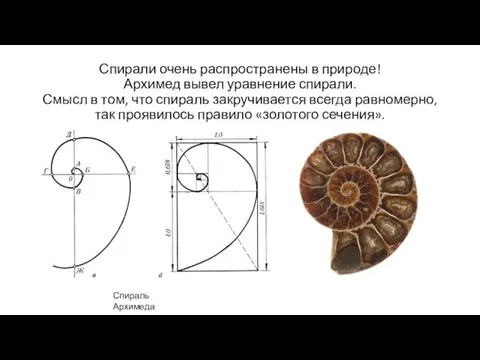 Спирали очень распространены в природе! Архимед вывел уравнение спирали. Смысл