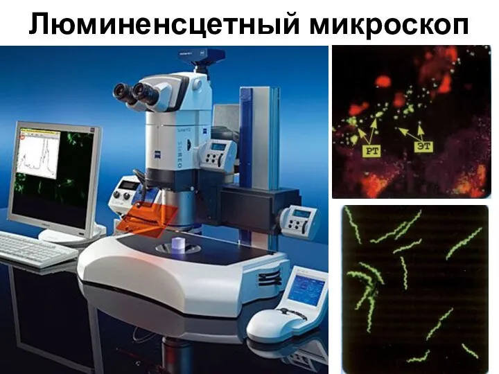 Люминенсцетный микроскоп