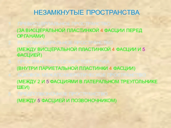 НЕЗАМКНУТЫЕ ПРОСТРАНСТВА 1. ПРЕВИСЦЕРПАЛЬНОЕ ПРОСТРАНСТВО (ЗА ВИСЦЕРАЛЬНОЙ ПЛАСТИНКОЙ 4 ФАСЦИИ