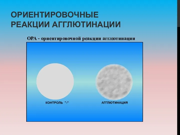 ОРИЕНТИРОВОЧНЫЕ РЕАКЦИИ АГГЛЮТИНАЦИИ ОРА - ориентировочной реакции агглютинации