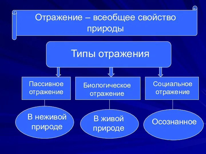 Отражение – всеобщее свойство природы Типы отражения Пассивное отражение В