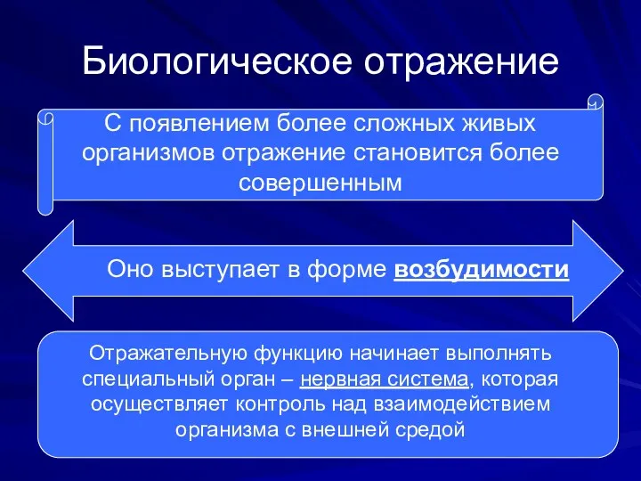 Биологическое отражение С появлением более сложных живых организмов отражение становится