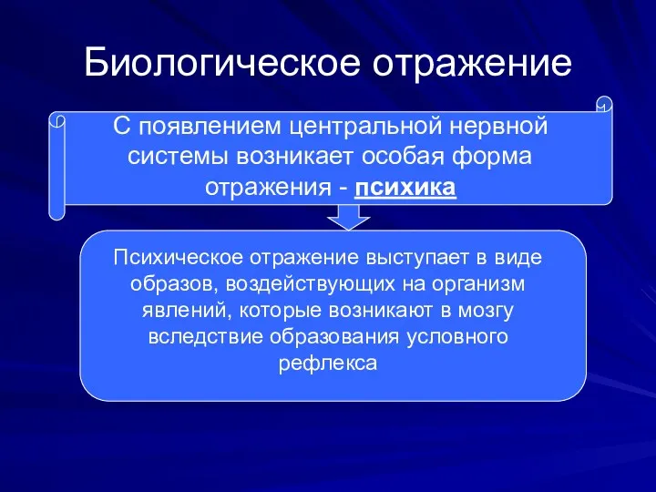 Биологическое отражение С появлением центральной нервной системы возникает особая форма