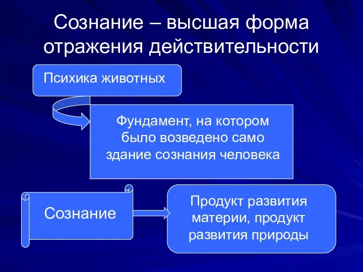 Сознание – высшая форма отражения действительности Психика животных Фундамент, на