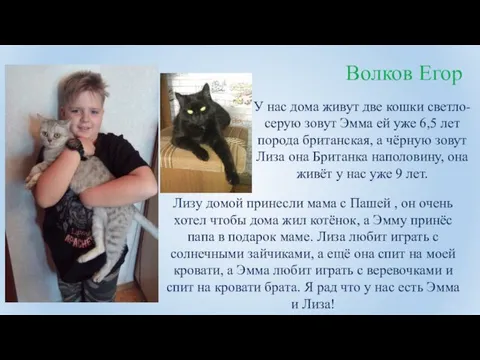 Волков Егор У нас дома живут две кошки светло-серую зовут