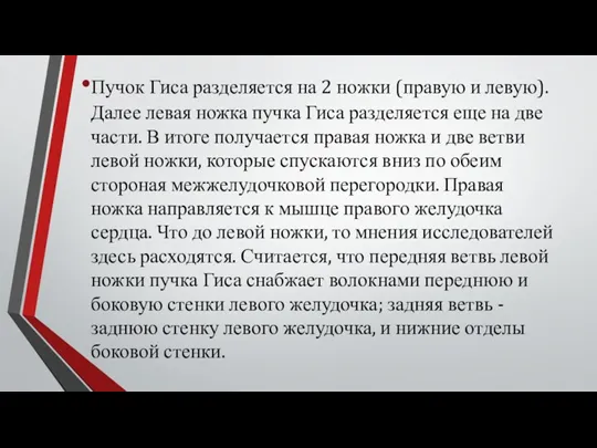 Пучок Гиса разделяется на 2 ножки (правую и левую). Далее