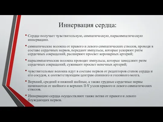 Иннервация сердца: Сердце получает чувствительную, симпатическую, парасимпатическую иннервацию. симпатические волокна