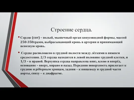 Строение сердца. Сердце (cor) – полый, мышечный орган конусовидной формы,