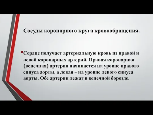 Сосуды коронарного круга кровообращения. Сердце получает артериальную кровь из правой