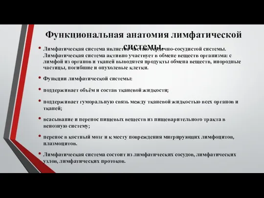 Функциональная анатомия лимфатической системы. Лимфатическая система является частью сердечно-сосудистой системы.