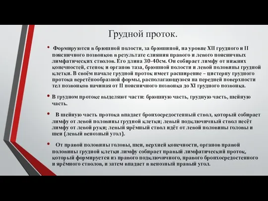 Грудной проток. Формируются в брюшной полости, за брюшиной, на уровне