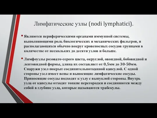 Лимфатические узлы (nodi lymphatici). Являются периферическими органами иммунной системы, выполняющими