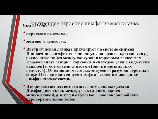 Внутреннее строение лимфатического узла. Узел состоит из: коркового вещества; мозгового