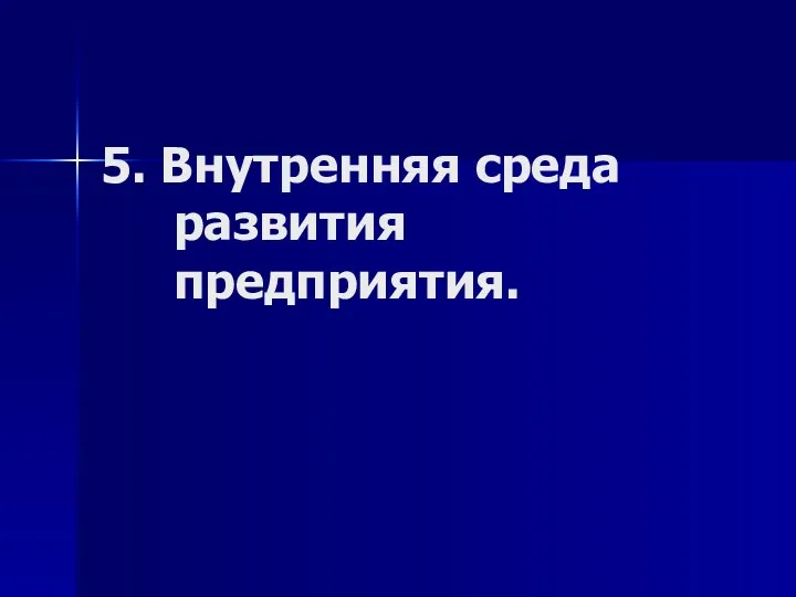 5. Внутренняя среда развития предприятия.