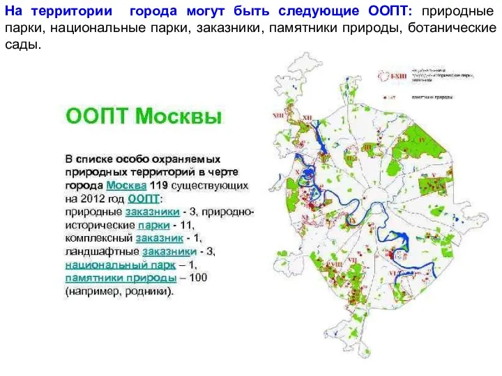 На территории города могут быть следующие ООПТ: природные парки, национальные парки, заказники, памятники природы, ботанические сады.