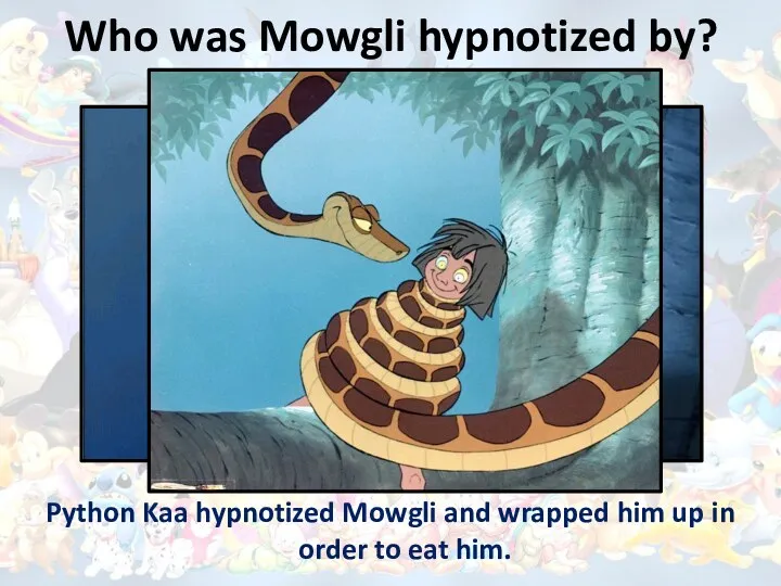 Who was Mowgli hypnotized by? Python Kaa hypnotized Mowgli and