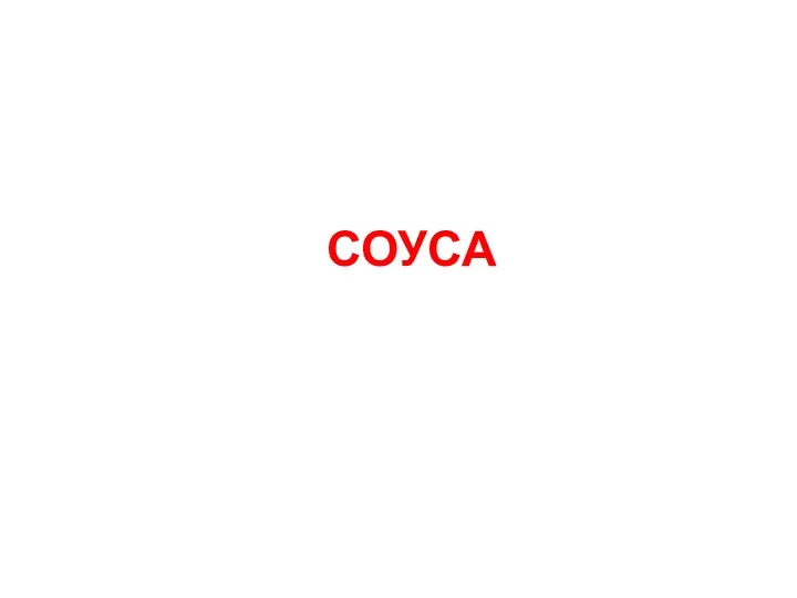 СОУСА