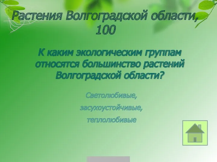 Растения Волгоградской области, 100 Светолюбивые, засухоустойчивые, теплолюбивые К каким экологическим группам относятся большинство растений Волгоградской области?