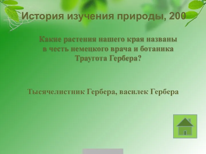 История изучения природы, 200 Тысячелистник Гербера, василек Гербера Какие растения