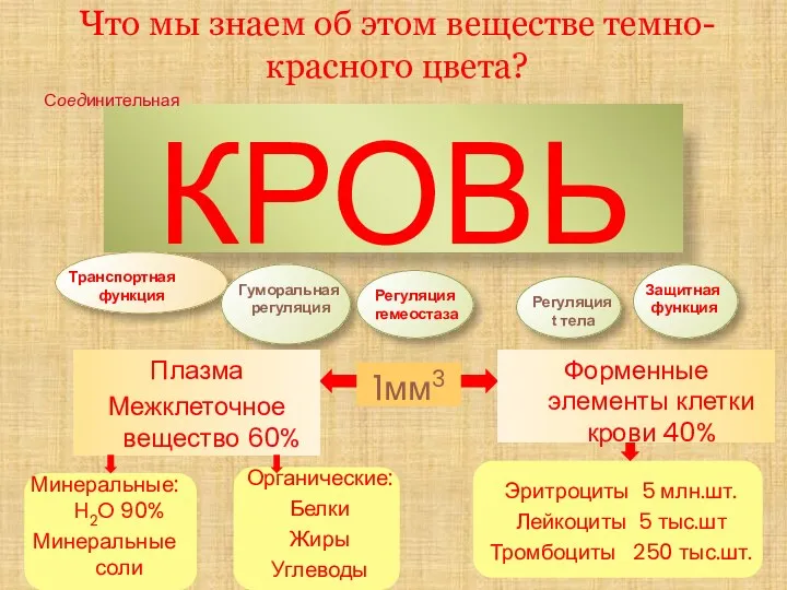 Что мы знаем об этом веществе темно- красного цвета? КРОВЬ Соединительная ткань 1мм3