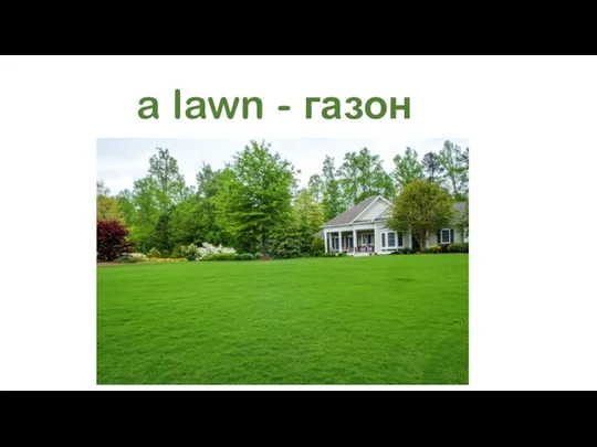 a lawn - газон