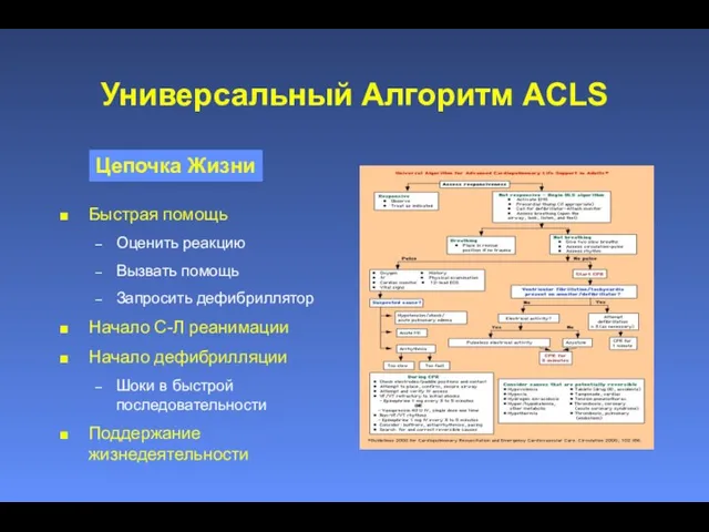 Универсальный Алгоритм ACLS Быстрая помощь Оценить реакцию Вызвать помощь Запросить дефибриллятор Начало С-Л