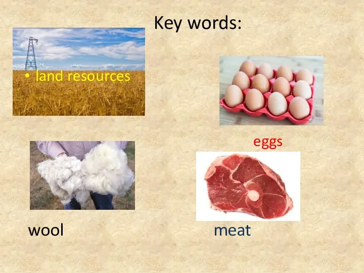 Key words: land resources eggs wool meat