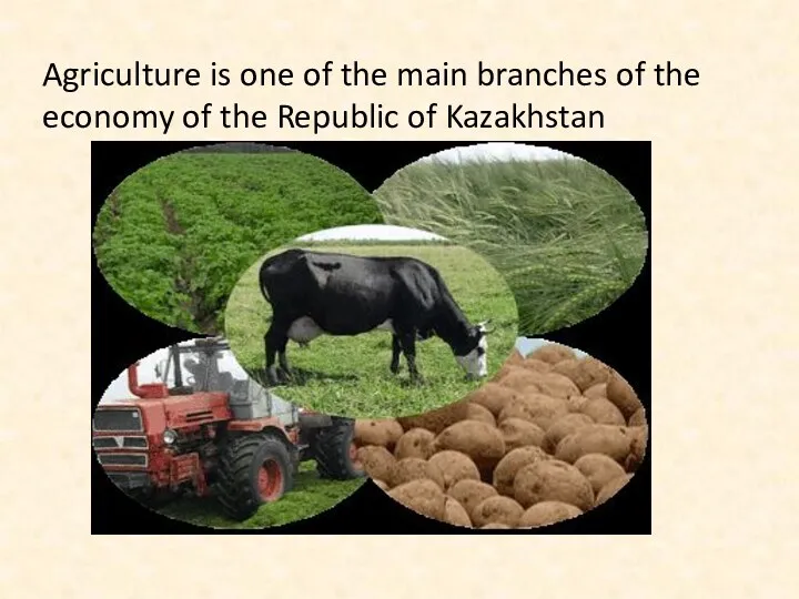 Agriculture is one of the main branches of the economy of the Republic of Kazakhstan