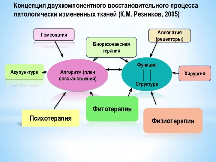 Концепция двухкомпонентного восстановительного процесса патологически измененных тканей (К.М. Резников, 2005)
