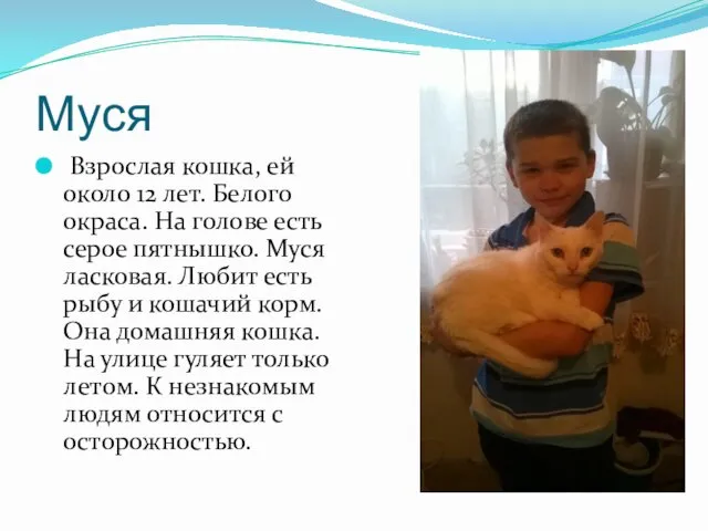 Муся Взрослая кошка, ей около 12 лет. Белого окраса. На