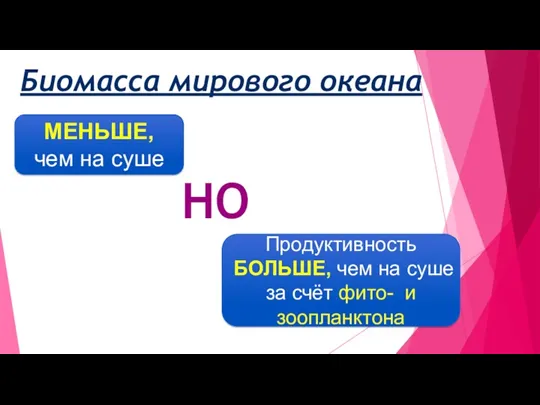 Биомасса мирового океана МЕНЬШЕ, чем на суше НО Продуктивность БОЛЬШЕ,