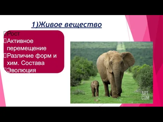 1)Живое вещество Рост Активное перемещение Различие форм и хим. Состава Эволюция