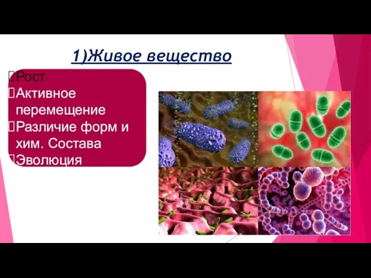 1)Живое вещество Рост Активное перемещение Различие форм и хим. Состава Эволюция