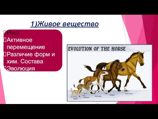 1)Живое вещество Рост Активное перемещение Различие форм и хим. Состава Эволюция