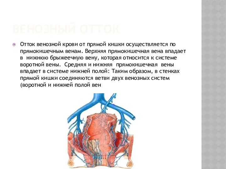 ВЕНОЗНЫЙ ОТТОК Отток венозной крови от прямой кишки осуществляется по