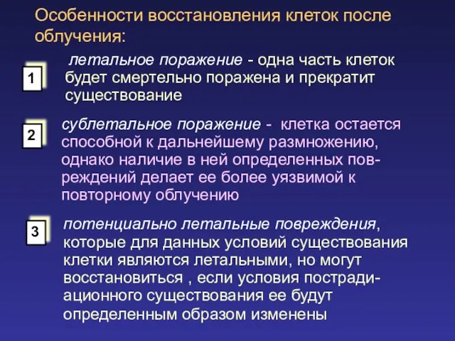 Особенности восстановления клеток после облучения: летальное поражение - одна часть