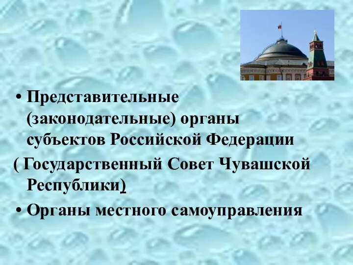 Представительные (законодательные) органы субъектов Российской Федерации ( Государственный Совет Чувашской Республики) Органы местного самоуправления