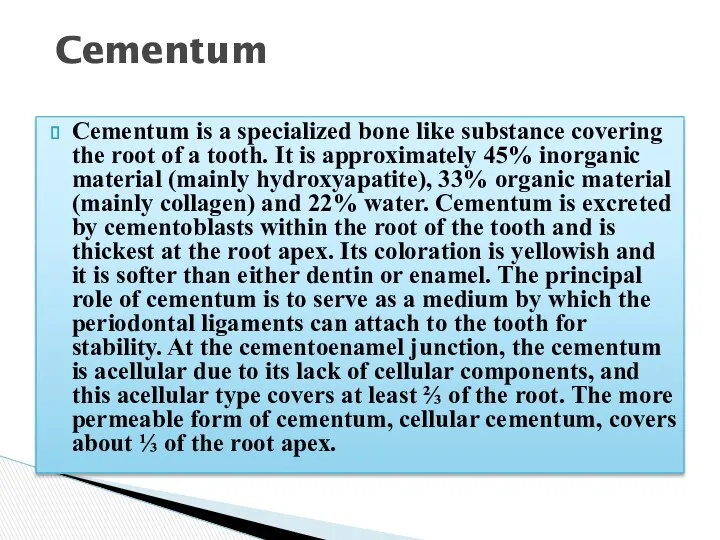 Cementum is a specialized bone like substance covering the root