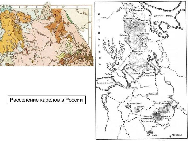 Расселение карелов в России