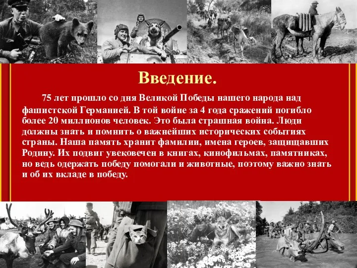 Введение. 75 лет прошло со дня Великой Победы нашего народа