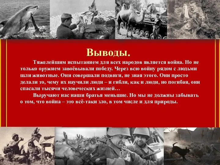 Выводы. Тяжелейшим испытанием для всех народов является война. Но не